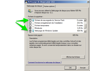 Windows serveur nettoyeur de disque